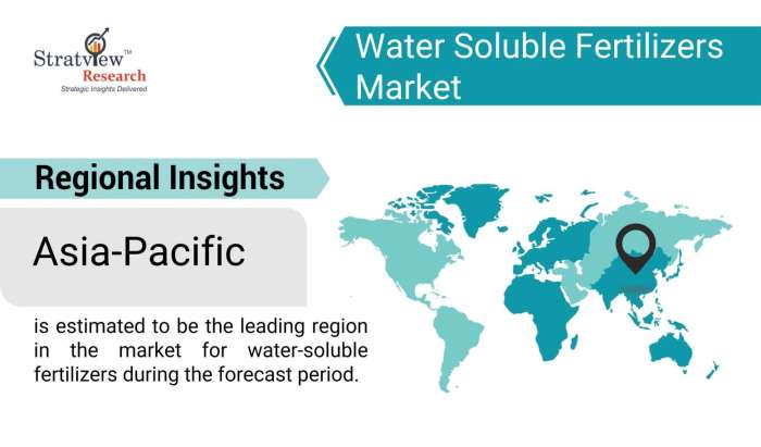Water-Soluble-Fertilizers-Market-Regional-Insights
